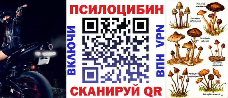 Галлюциногенные грибы Magic Shrooms  Сосенский 